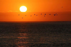 Meet your Posher, Sean